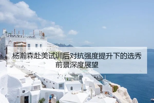 杨瀚森赴美试训后对抗强度提升下的选秀前景深度展望